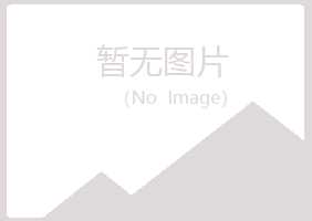 合山雪柳工程有限公司